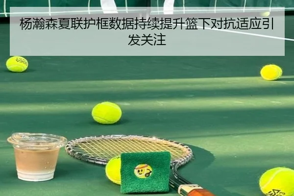 杨瀚森夏联护框数据持续提升篮下对抗适应引发关注